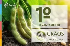 CONAB divulga primeiro levantamento para a safra 2025/2026