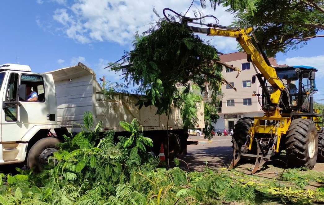 Recolha de galhos e entulhos será realizada no distrito de Porto Mendes a partir de segunda-feira