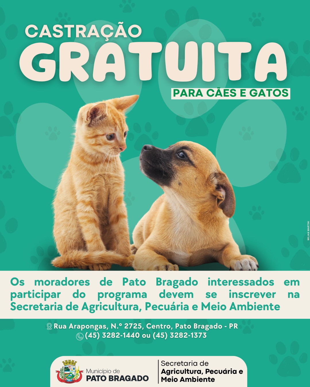 Secretaria de Agricultura, Pecuária e Meio Ambiente de Pato Bragado Lança Programa controle populacional de cães e gatos
