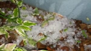 Chuva com granizo e vento forte atinge Assis Chateaubriand