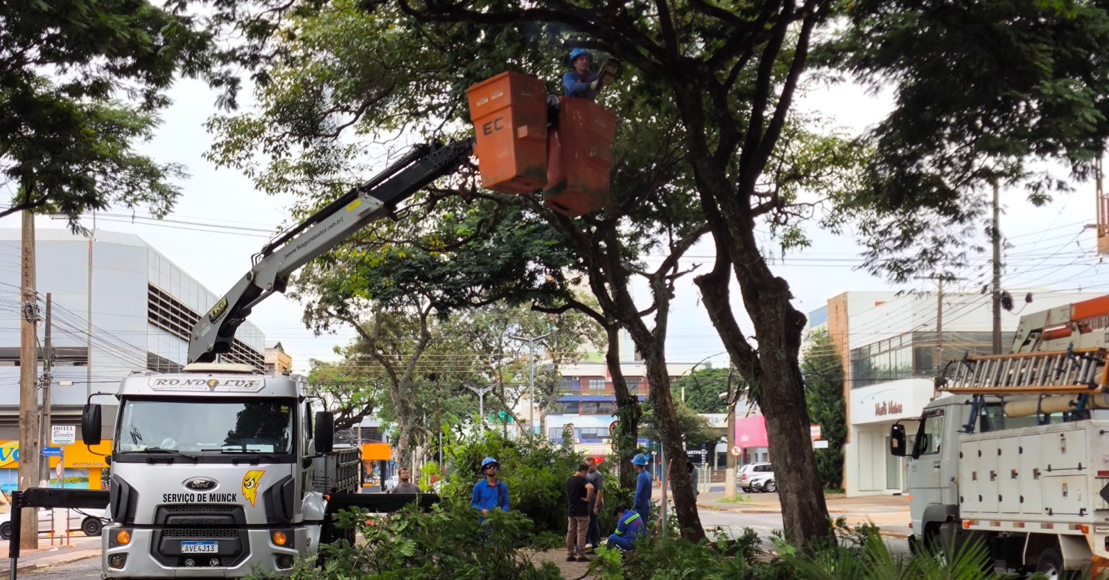Secretaria de Infraestrutura realiza retirada de galhos na avenida Maripá para melhorar iluminação pública