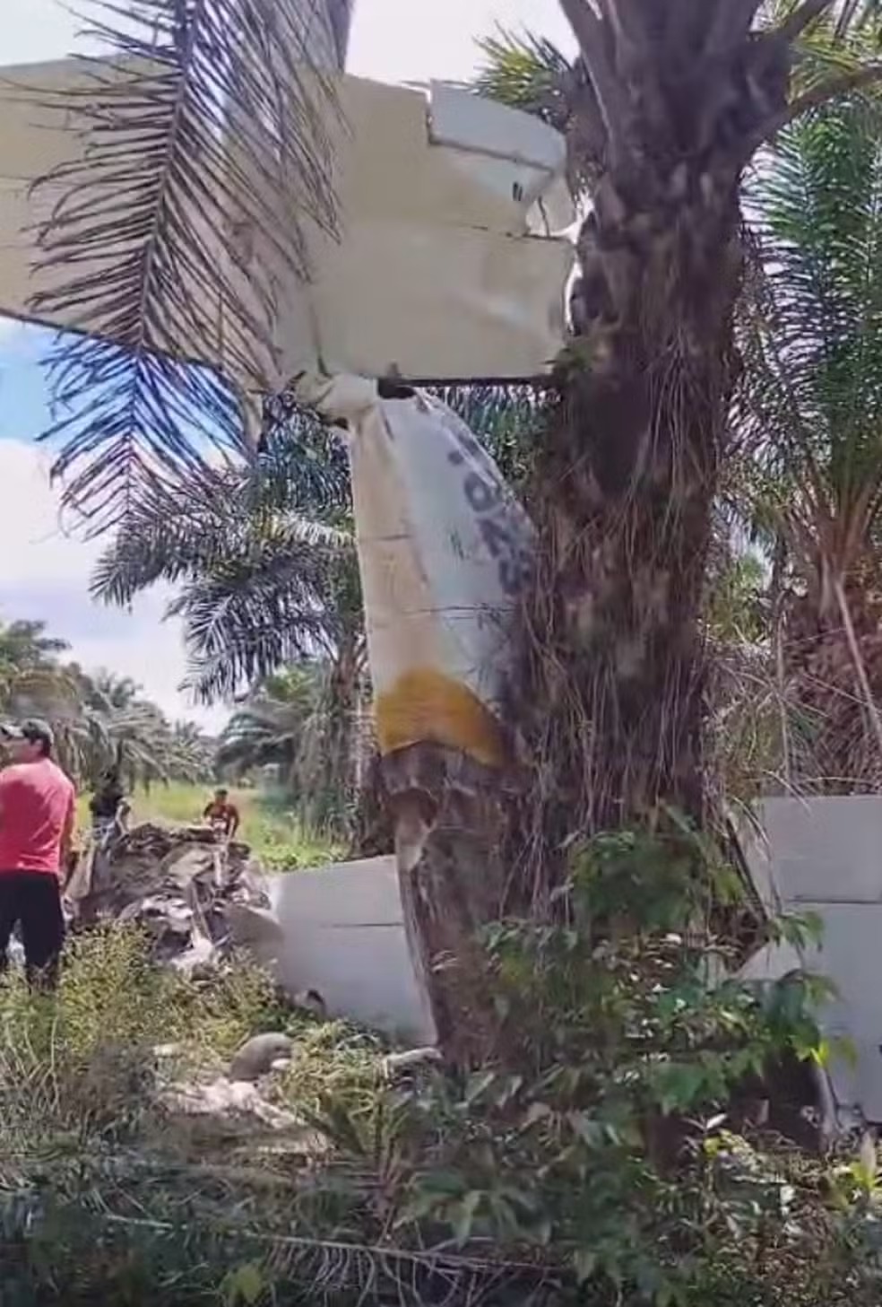 Avião de pequeno porte cai em área de plantação no Pará