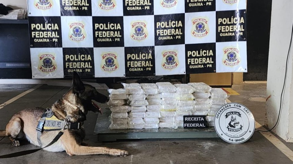 50 kg de cocaína são apreendidos na Ponte Ayrton Senna