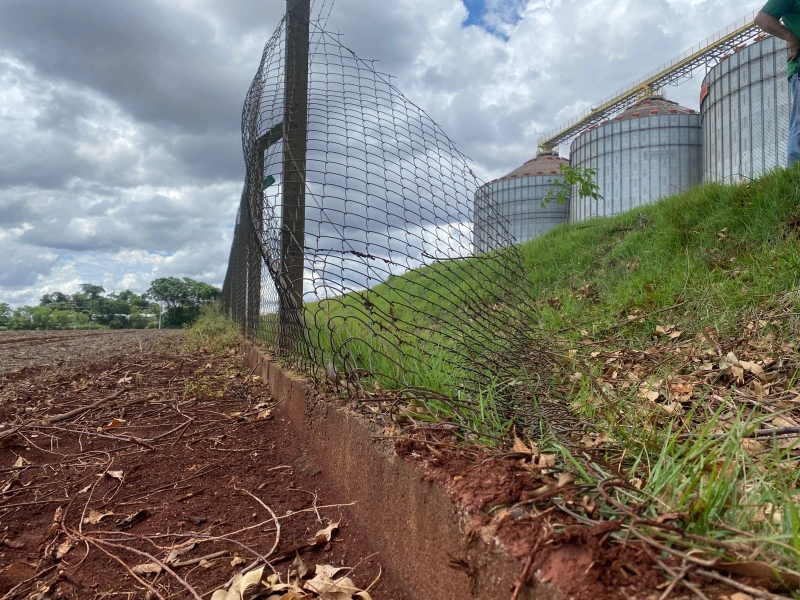 Seis ladrões invadem empresa agrícola e praticam furto em Mercedes