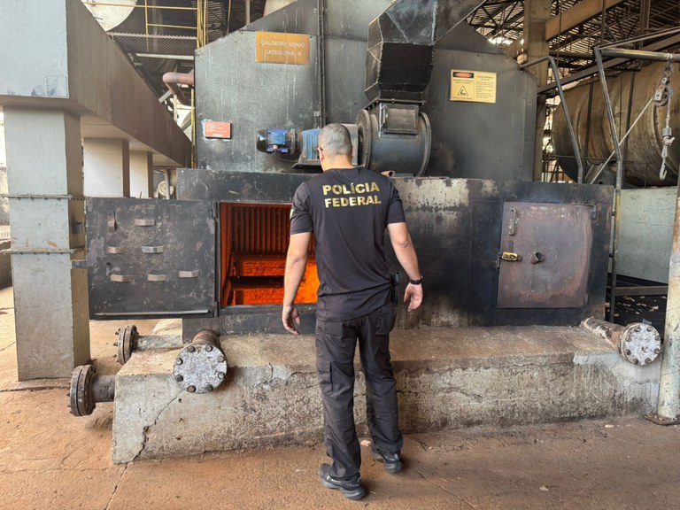 Mais de 9 toneladas de entorpecentes são incineradas em operação conjunta em Guaíra