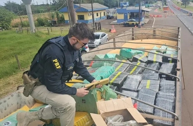 PRF apreende, no Paraná, a maior quantidade de maconha do ano em rodovias federais