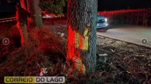 Colisão de moto contra árvore mata jovem no interior de Santa Helena