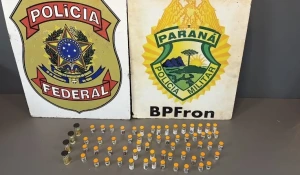 PF e BPFron apreendem entorpecentes e produtos emagrecedores