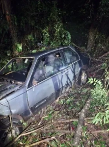Colisão contra árvores entre Palotina e Terra Roxa