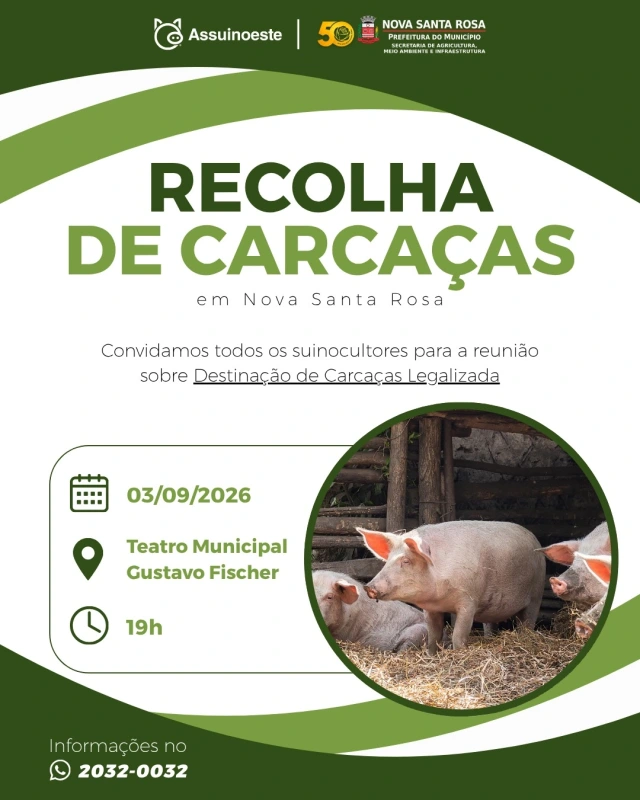 Suinocultores de Nova Santa Rosa são convidados para reunião sobre destinação de carcaças