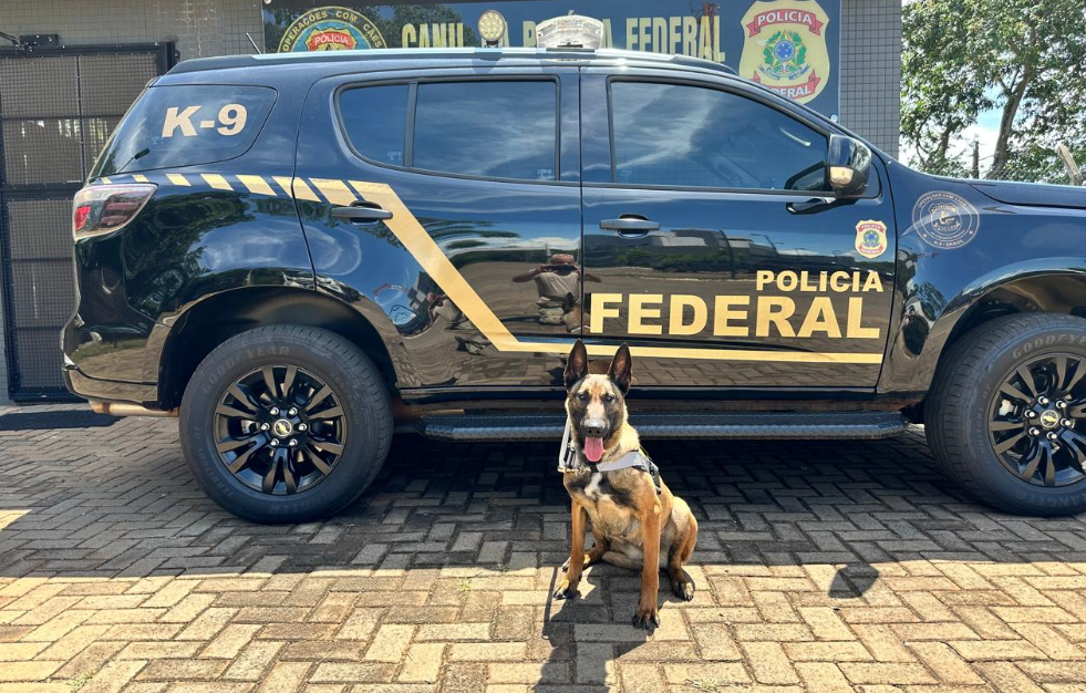 Polícia Federal reforça Canil Regional em Guaíra com nova integrante vinda da Alemanha