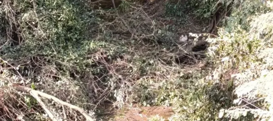 Acidente mata caminhoneiro no interior de Marechal Rondon