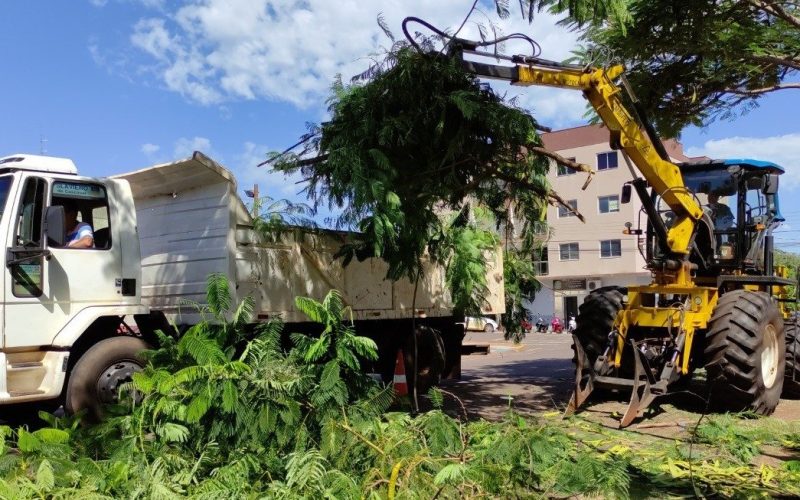 Recolha de galhos e entulhos será realizada no distrito de Porto Mendes a partir de segunda-feira