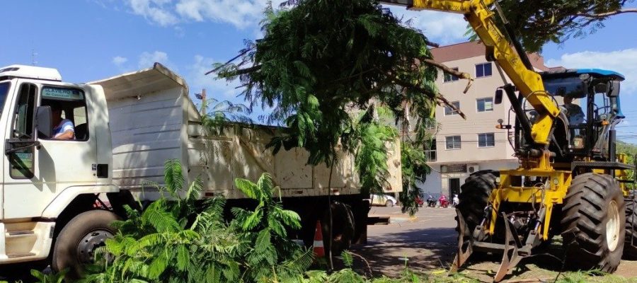 Recolha de galhos e entulhos será realizada no distrito de Porto Mendes a partir de segunda-feira