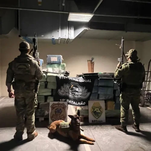 Policia apreende uma tonelada e meia de maconha no interior de Nova Santa Rosa