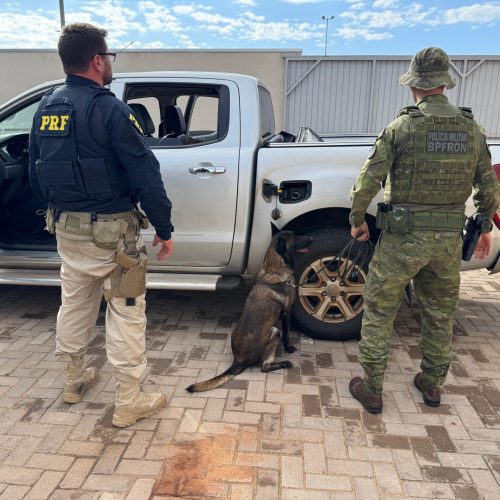 PRF e BPFron apreendem quase 50 quilos de pasta base de cocaína