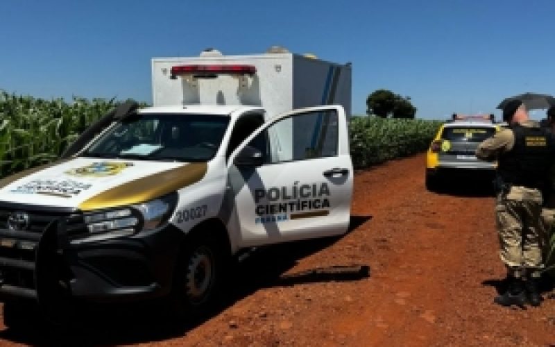 Corpo é encontrado em lavoura de milho no interior de Toledo