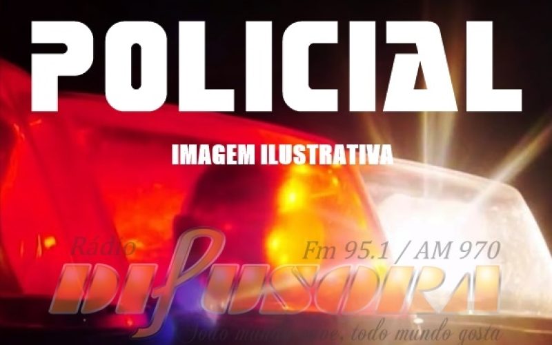 Suino e caixas de abelhas são furtados em Porto Mendes