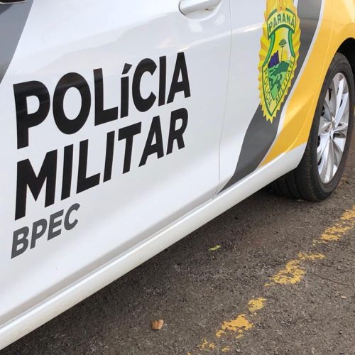 Cadela Pinscher é furtada em Pato Bragado