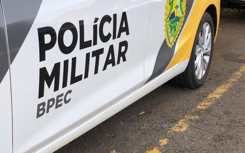 Cadela Pinscher é furtada em Pato Bragado