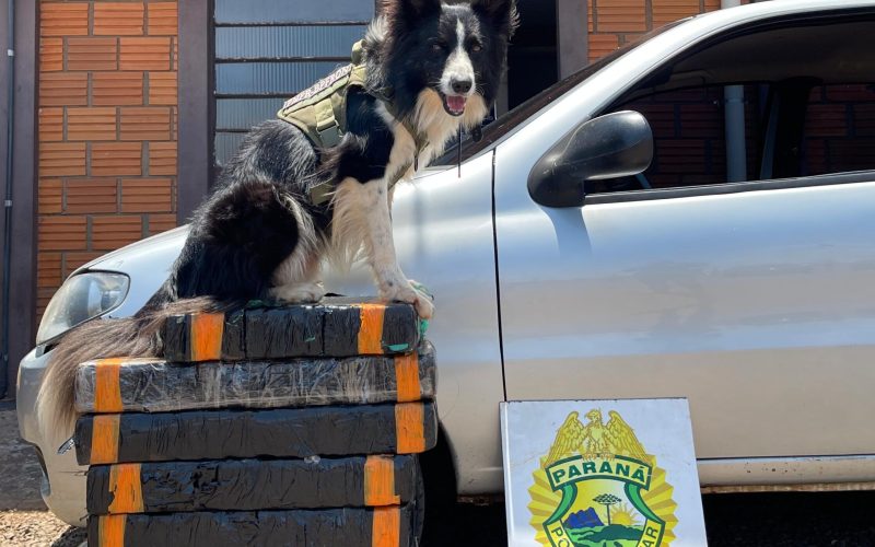 (Foto: Assessoria)