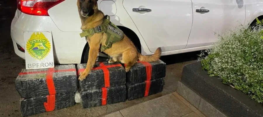 Após tentativa de abordagem em Mal Rondon, BPFron prende traficante em Vila Nova