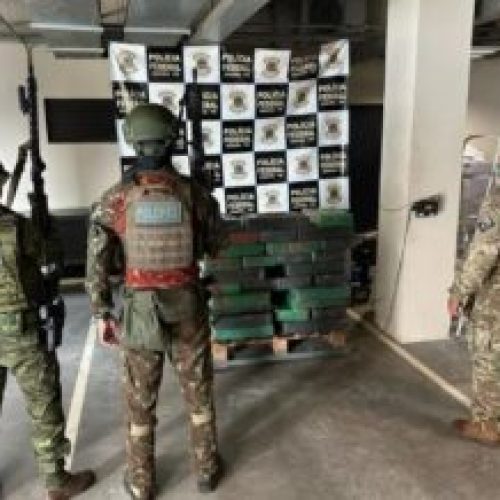 Policia apreende 658 quilos de maconha em Dr. Oliveira Castro