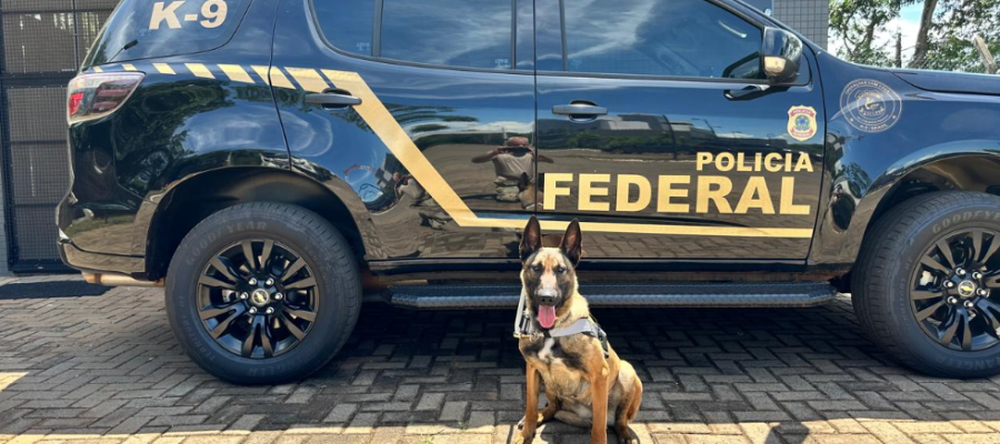 Polícia Federal reforça Canil Regional em Guaíra com nova integrante vinda da Alemanha