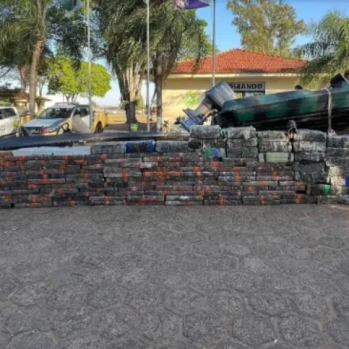 Paraná é o Estado que mais apreendeu maconha no primeiro semestre de 2025