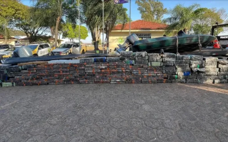 Paraná é o Estado que mais apreendeu maconha no primeiro semestre de 2025