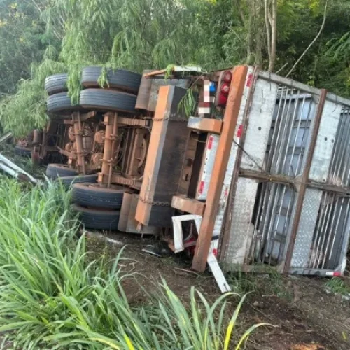 Carreta carregada com suíinos tomba entre Mercedes e Guaira