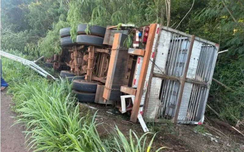 Carreta carregada com suíinos tomba entre Mercedes e Guaira