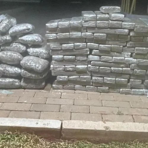 Mulher é presa no interior de veiculo carregado com maconha