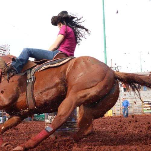 4ª etapa do Campeonato de Três Tambores ARTTB acontece neste fim de semana em Marechal Cândido Rondon