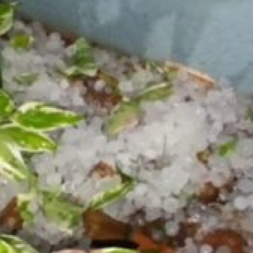 Chuva com granizo e vento forte atinge Assis Chateaubriand