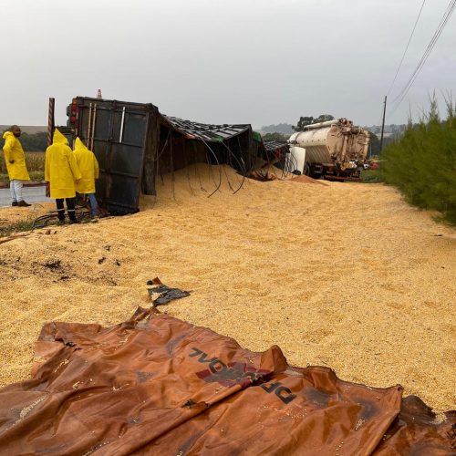 Equipes trabalham na retirada de carga após tombamento de caminhão na PR-495; trânsito segue lento; uma pessoa ficou gravemente ferida