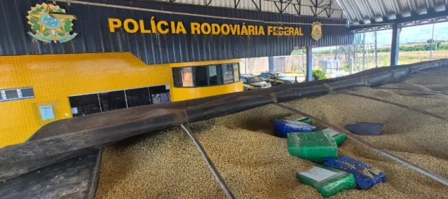 PRF apreende mais de 3 toneladas de maconha em carga de soja