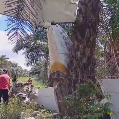 Foto: Reprodução / TV Liberal