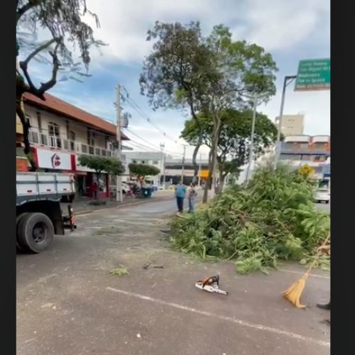 Poda de luminária” no centro da cidade. Trânsito bloqueado em frente a Radio Difusora