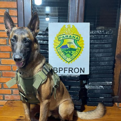 Foto: BPFron