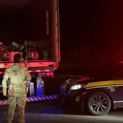 Às vésperas do carnaval, PRF faz maior apreensão de maconha do Paraná em 2025