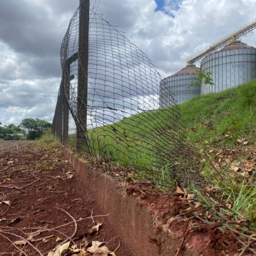 Seis ladrões invadem empresa agrícola e praticam furto em Mercedes