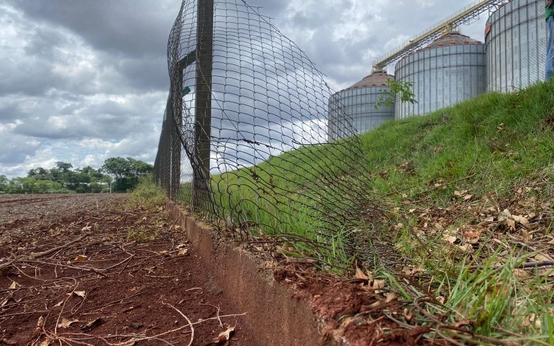 Seis ladrões invadem empresa agrícola e praticam furto em Mercedes