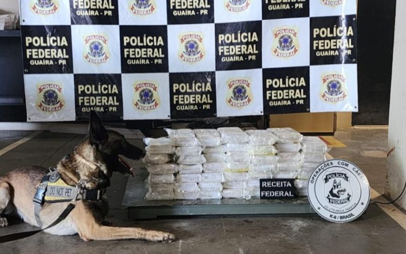 50 kg de cocaína são apreendidos na Ponte Ayrton Senna