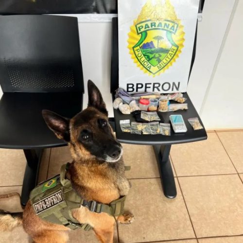 Traficante de crack é preso pelo BPFron em Marechal Rondon.